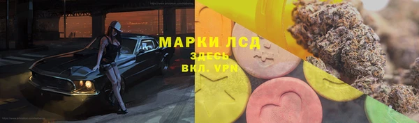 прущие грибы Зеленодольск