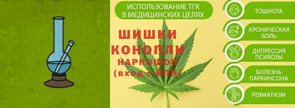 прущие грибы Зеленодольск