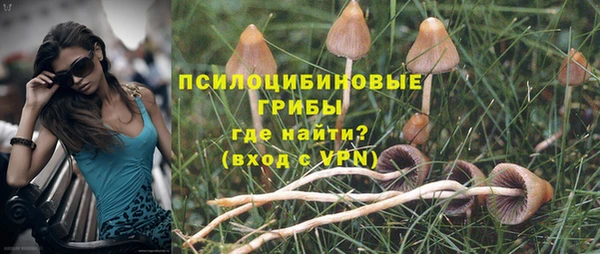 хмурый Зерноград