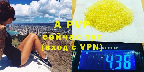 прущие грибы Зеленодольск