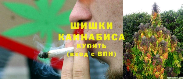 spice Инсар
